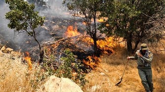 آتش‌سوزی جنگل‌های «نارک» گچساران همچنان ادامه دارد