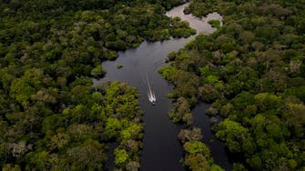 Amazon deforestation down sharply under Brazil’s new president Lula: Satellite data