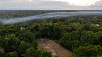 بدل امتصاص ثاني أكسيد الكربون.. غابة الأمازون باتت تصدره