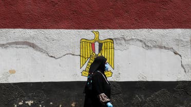 علم مصر مرسوم على جدار في القاهرة (رويترز)