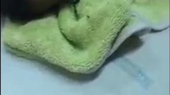 فيديو يفطر القلوب.. طفلة ليبية تصارع الموت بسبب لدغة عقرب