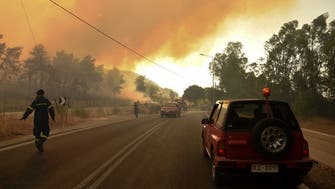 Dozen homes burn, five hospitalized in forest fire near Greece’s Patras