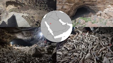 Scientists discover hundreds of thousands of animal and human remains in a cave in northwestern Saudi Arabia. (Twitter)