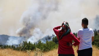 Wildfires in southern Turkey force more residents to flee homes
