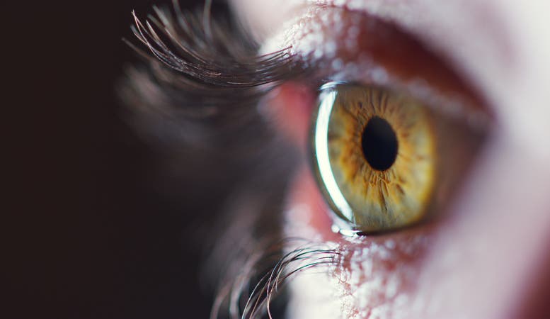 Retina (iStock)