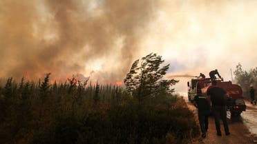 Firefighters extinguish a wildfire in the Mazi region near Bodrum, Turkey, August 2, 2021. (Reuters)