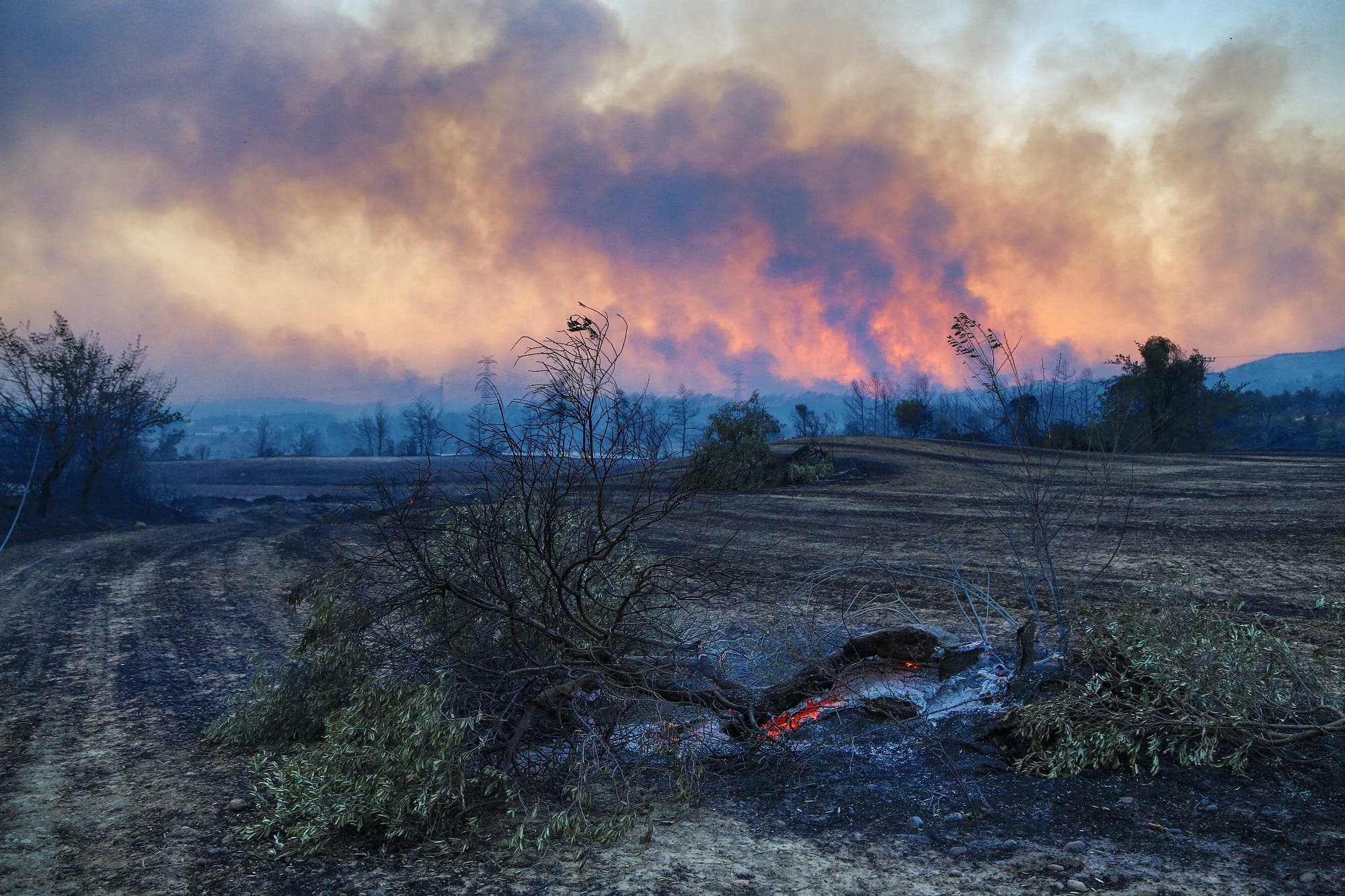 دخان يتصاعد عقب حريق في غابة بالقرب من بلدة مانافجات التركية (أرشيفية من رويترز)