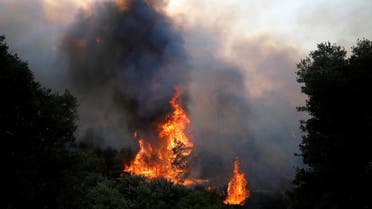 Smoke rises from a wildfire at Varympompi suburb north of Athens, Greece, August 3, 2021. (Reuters)