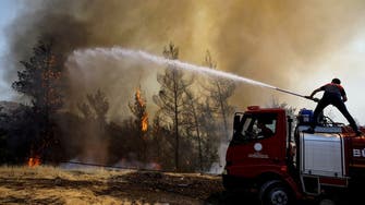 Turkey spent only fraction of forest protection budget before wildfires erupted