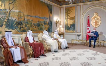 رئيس تونس يستقبل الوفد الإماراتي