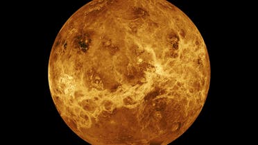 In this file photo made available by NASA shows the planet Venus made with data from the Magellan spacecraft and Pioneer Venus Orbiter. (AP)