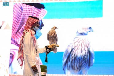 Falcons, whose flight speeds can exceed 300 km (186 miles) an hour, are recognized internationally as endangered. Countries have varying regulations governing their sale, capture, breeding and hunting activities. (SPA)