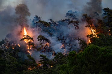 A wildfire burn trees on August 2, 2021 in Mugla, Marmaris district, as the European Union sent help to Turkey and volunteers joined firefighters in battling a week of violent blazes. (AFP)