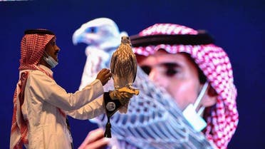 Rare falcon sold for over $71,000 during auction in Saudi Arabia’s Riyadh