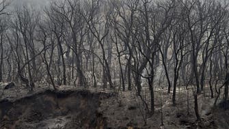 الجزائر.. اعتقال 30 شخصا على علاقة بحرائق الغابات