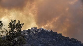 جنگلات میں آگ بجھانے میں الجزائر کی مدد کی جائے: شاہ سلمان