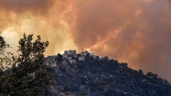 Death toll from Algeria wildfire climbs to 65: State TV