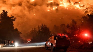 Flames rise as firefighters and volunteers try to extinguish a fire burning in the village of Schinos, near Corinth, Greece, May 19, 2021. Picture taken May 19, 2021. (Reuters)
