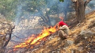 ادامه آتش‌سوزی در جنگل‌های«کوه‌‌شره» شهرستان کهگیلویه