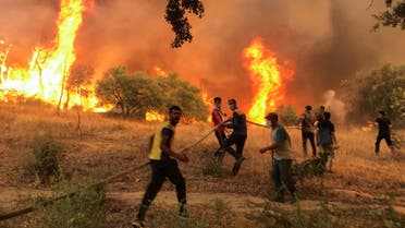 Villagers carry a hose as they try to put out a wildfire, in Achallam village, in the mountainous Kabylie region of Tizi Ouzou, east of Algiers, Algeria August 11, 2021. (Reuters)