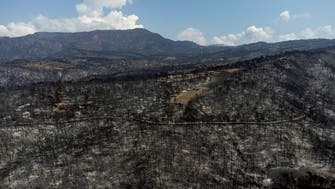 اليونان تعلن سيطرة فرق الإطفاء على الحرائق