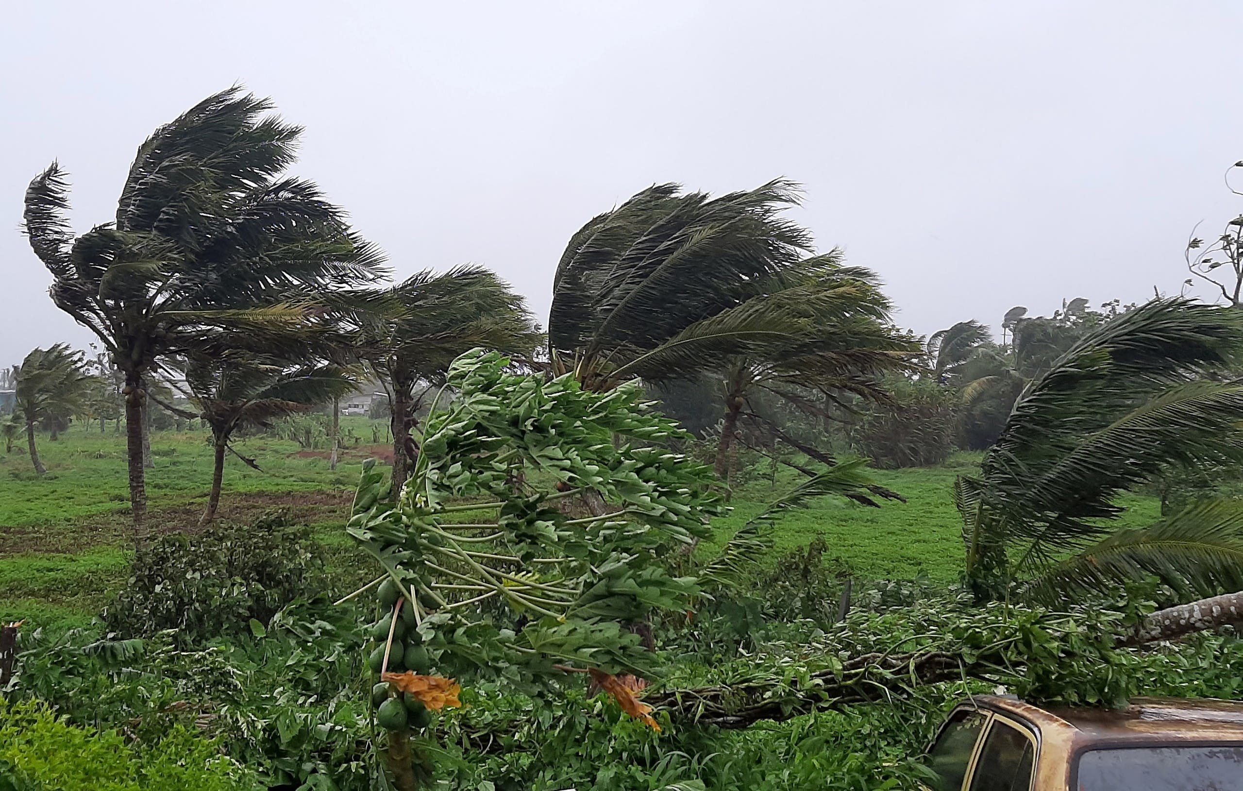 Strong winds uproot the trees from winds caused by Cyclone Ana, a category two storm, in the village of Sawani, north of Fiji's capital city of Suva, on January 31, 2021. (File photo: AFP)