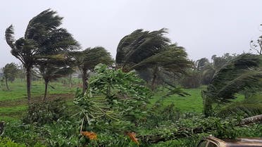 Strong winds uproot the trees from winds caused by Cyclone Ana, a category two storm, in the village of Sawani, north of Fiji's capital city of Suva, on January 31, 2021. (File photo: AFP)