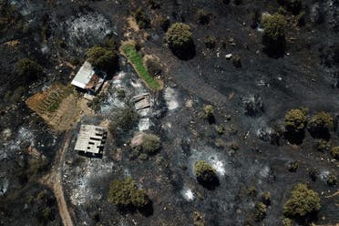 صورة تظهر آثار الحرائق في تركيا - في ولاية موغلا