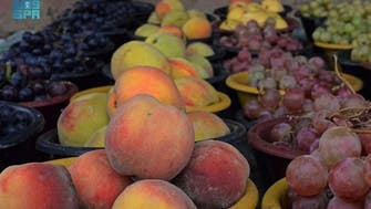 عسیر کے موسمی پھلوں کا روایتی مقامی تحائف کے ساتھ مقابلہ