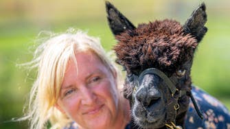 Farmer Macdonald loses appeal to save alpaca Geronimo from being killed