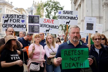 Protesters hold up placards as they gather outside Downing Street to protest against the decision to euthanize Geronimo, an alpaca which has tested positive for bovine tuberculosis, in cental London on August 9, 2021. (AFP)