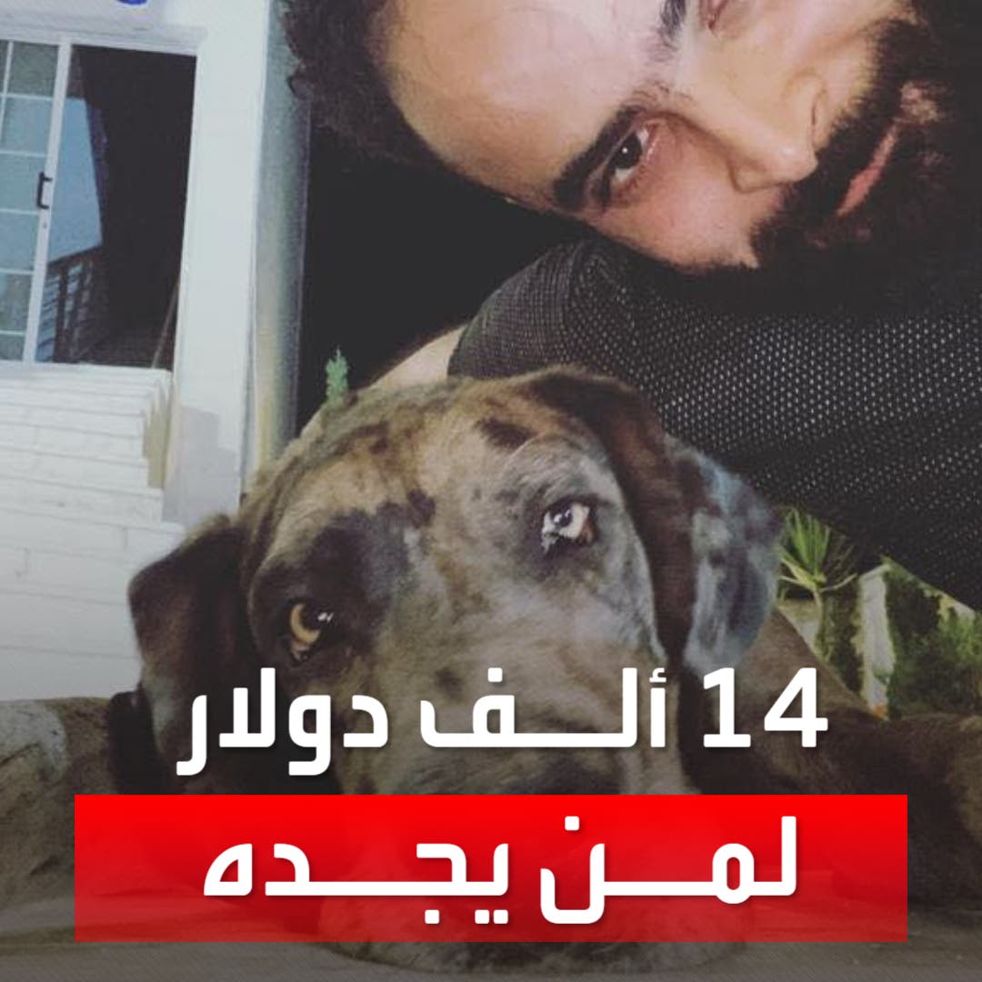14 ألف دولار مقابل العثور على كلبه المفقود
