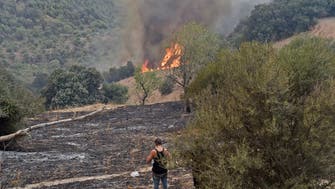 Algeria wildfires ‘all under control’: Civil defense