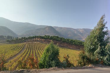 منطقة البقاع في لبنان