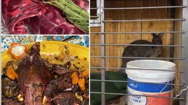 Kangaroo meat is seen on the left and a kangaroo in a cage is seen on the right in screengrabs from the video that went viral on social media in Saudi Arabia. (Screengrab)
