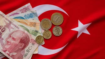 الليرة التركية تهوى لمستوى قياسي بعد خفض سعر الفائدة للشهر الثاني 