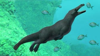 فسیل نهنگ چهارپای چهل‌میلیون‌ساله در مصر کشف شد