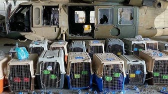 الجيش الأميركي ينفي أن يكون عناصره قد تركوا كلاباً في كابل
