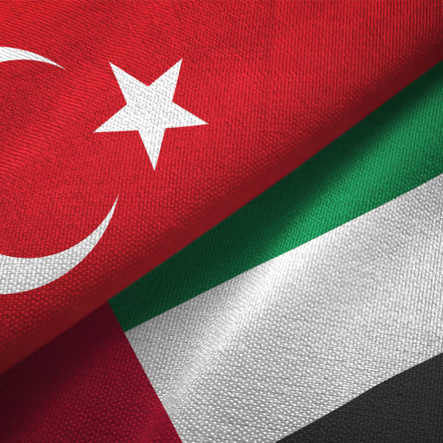 Turkey is a ‘great natural partner,’ says UAE minister