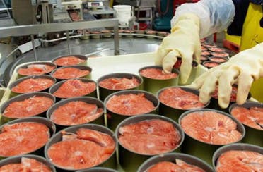 افزایش قیمت کنسرو تن ماهی به 30 هزار تومان