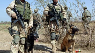 US Air Force Tech Sgt. John Mascolo, and his dog Ajax (L) await a helicopter pickup with Staff Sgt. Manny Garcia, and his dog Jimmy, outside Forward Operating Base Normandy in Iraq in this undated handout image obtained by Reuters December 2, 2011. (Reuters)