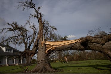 Local resident Kurt Charpentier rakes leaves past a fallen tree in his yard in the aftermath of Hurricane Ida in Bourg, Louisiana, US, August 30, 2021. (Reuters)