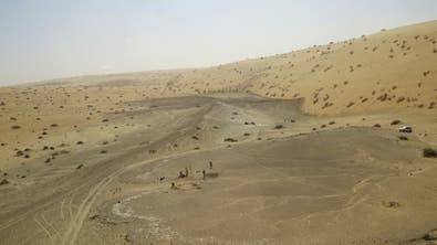 Middle East deserts were once home to rivers, lush green grassland with hippos: Study