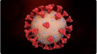 درباره پروتئین «سنبله» ویروس کرونا چه می‌دانیم؟