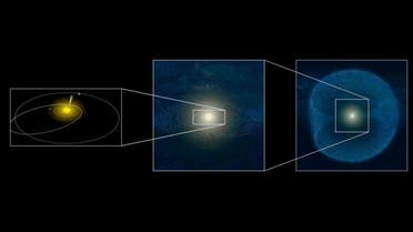 Interstellar Objects Might Outnumber Solar System Objects in the Oort Cloud