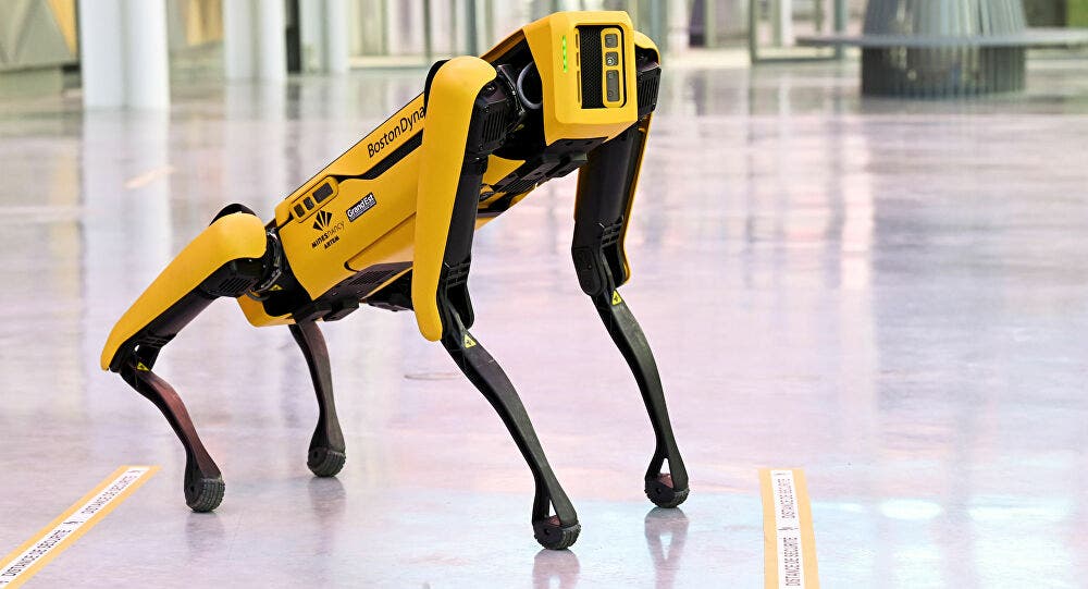 robot dogs