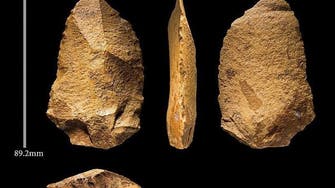 Saudi Arabia uncovers evidence of migrations from Africa to Arabia 400,000 years ago