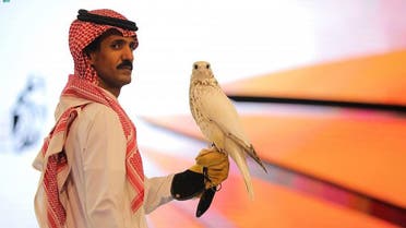 The Gyrfalcon was sold on Sunday on the last day of the International Falcon Breeders Auction (IFBA). (SPA)