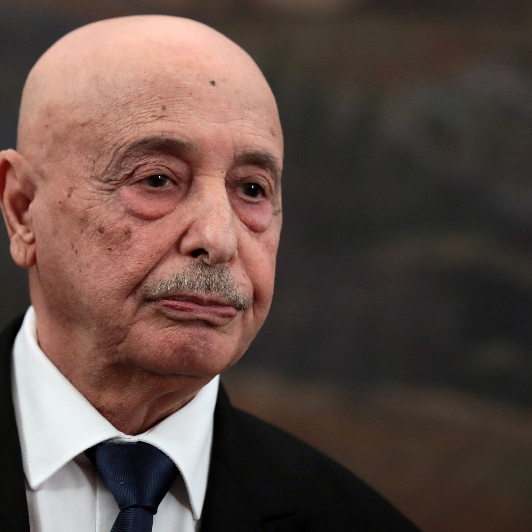 عقيلة صالح يؤكد: الانتخابات الرئاسية والبرلمانية في ليبيا بموعدها 