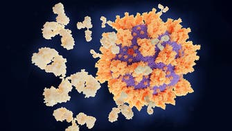 کشف آنتی‌بادی جدیدی که تمام گونه‌های ویروس کرونا را خنثی می‌کند